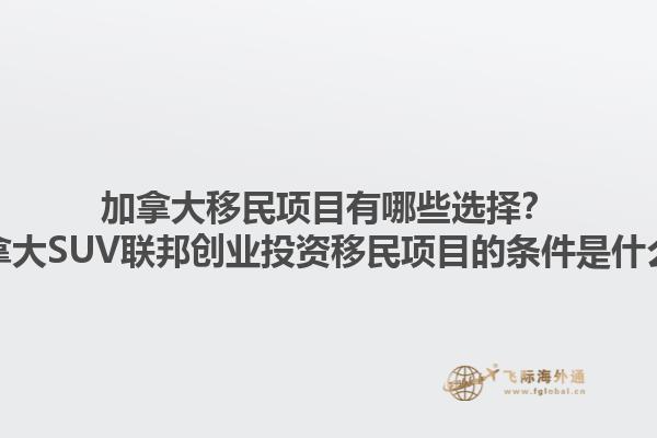 加拿大移民項目有哪些選擇？加拿大SUV聯(lián)邦創(chuàng)業(yè)投資移民項目的條件是什么？1.jpg