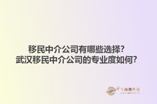移民中介公司有哪些選擇？武漢移民中介公司的專業(yè)度如何？1.jpg