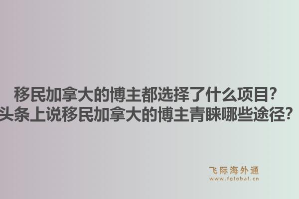 移民加拿大的博主都選擇了什么項目？頭條上說移民加拿大的博主青睞哪些途徑？1.jpg