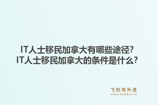 IT人士移民加拿大有哪些途徑？IT人士移民加拿大的條件是什么？1.jpg