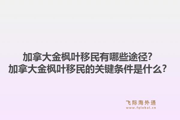 加拿大金楓葉移民有哪些途徑？加拿大金楓葉移民的關(guān)鍵條件是什么？1.jpg