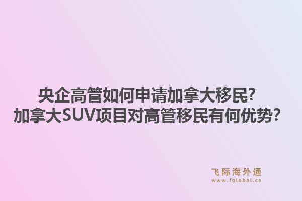 央企高管如何申請(qǐng)加拿大移民？加拿大SUV項(xiàng)目對(duì)高管移民有何優(yōu)勢(shì)？1.jpg