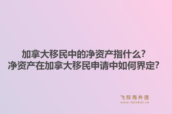 加拿大移民中的凈資產(chǎn)指什么？凈資產(chǎn)在加拿大移民申請中如何界定？1.jpg
