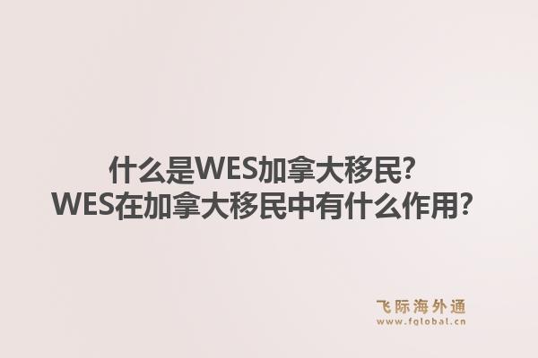 什么是WES加拿大移民？WES在加拿大移民中有什么作用？1.jpg