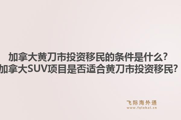 加拿大黃刀市投資移民的條件是什么？加拿大SUV項目是否適合黃刀市投資移民？1.jpg