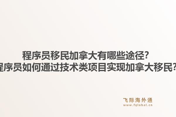 程序員移民加拿大有哪些途徑？程序員如何通過技術(shù)類項(xiàng)目實(shí)現(xiàn)加拿大移民？1.jpg